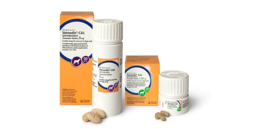 Heart meds hot sale for dogs